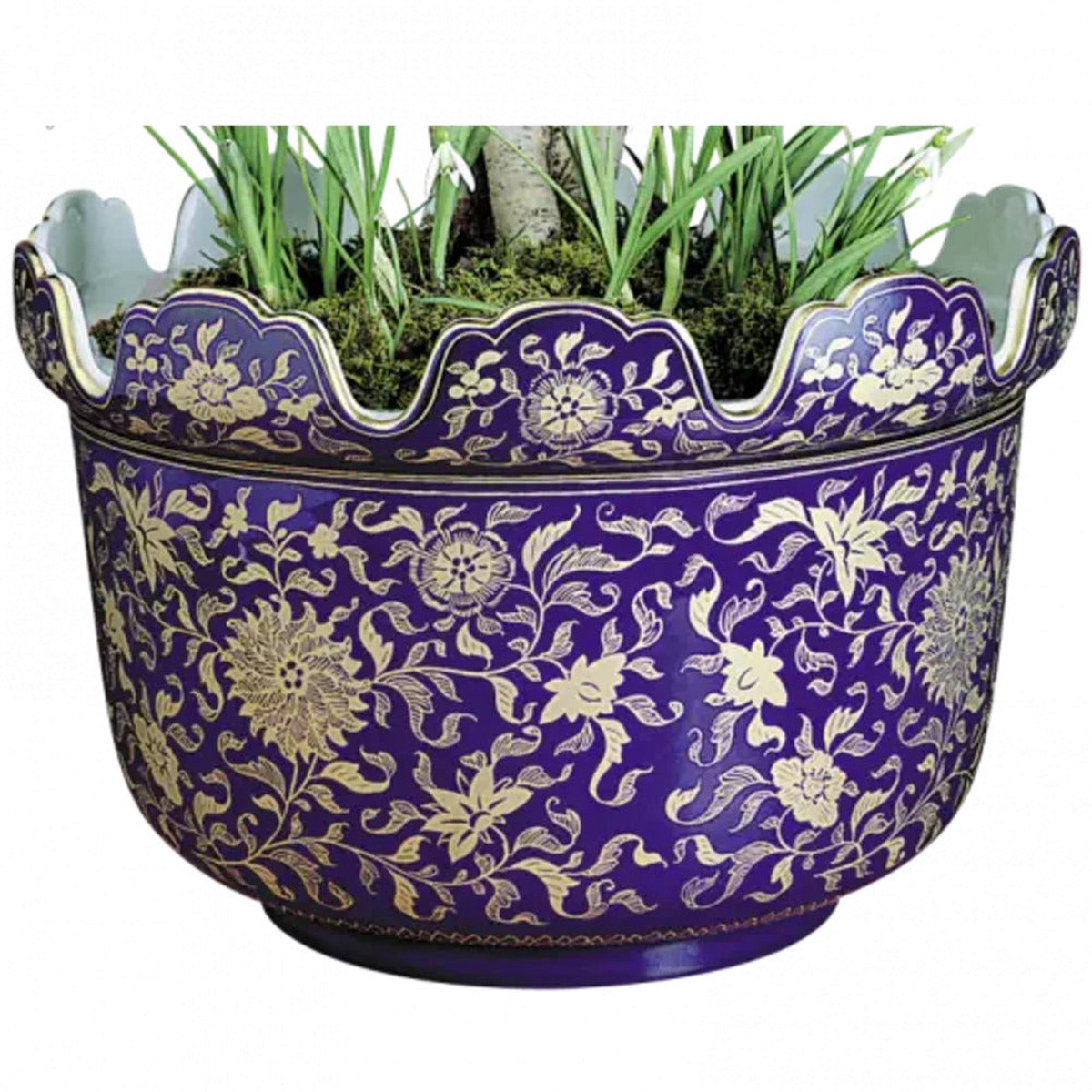 product-details