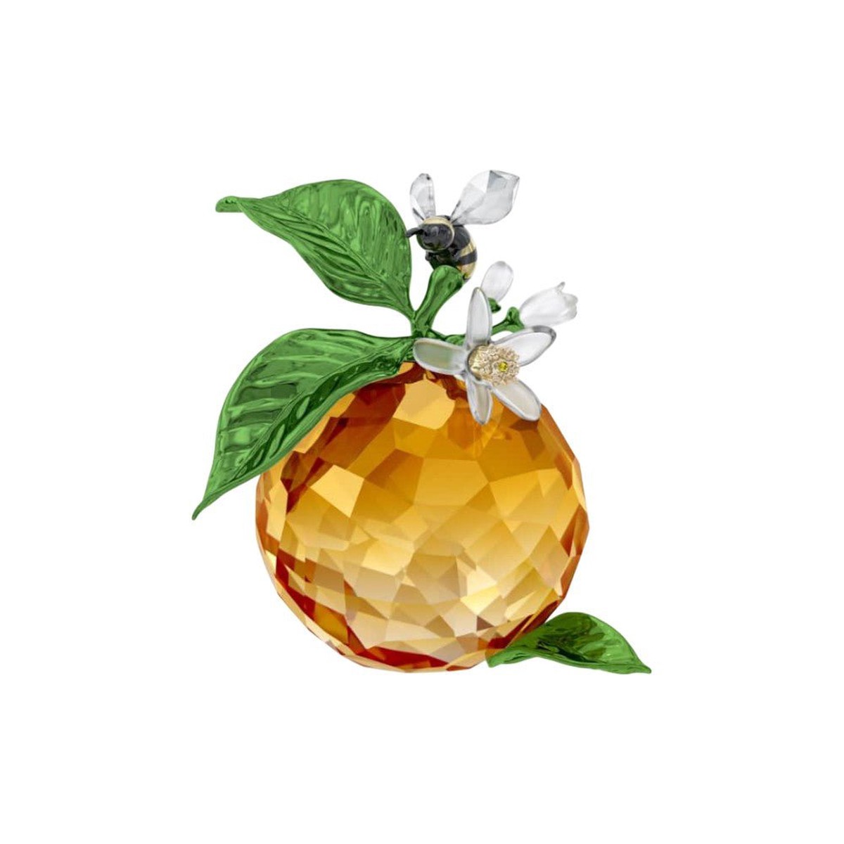 product-details