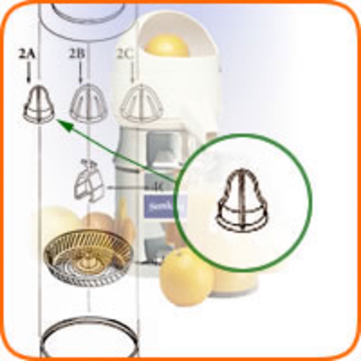 product-details